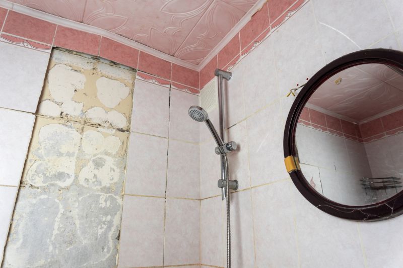 Shower Remodeling in Hockessin, DE